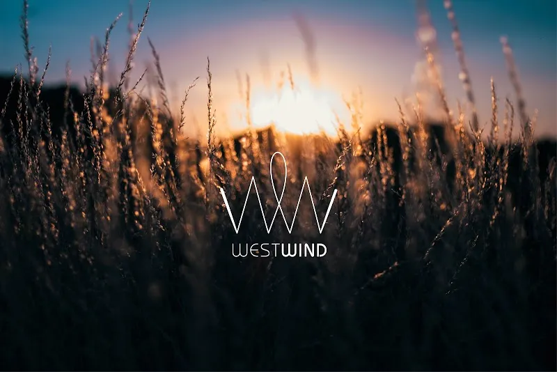 Westwind Recovery - Photo 1