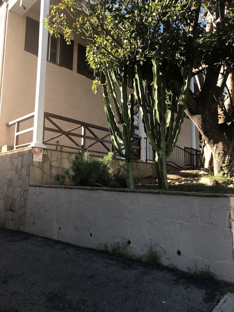 Hollywood Re-Entry - Photo 1