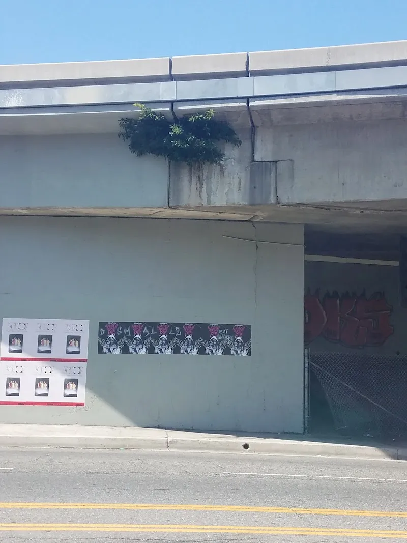 Hollywood Re-Entry - Photo 2