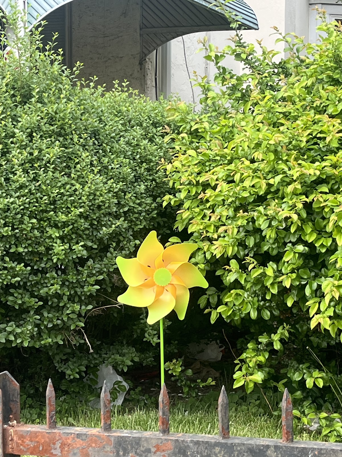 New Path Recovery Center Inc - Ảnh 2