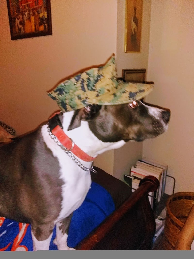 Transitions Buprenorphine Clinic Of Sacramento