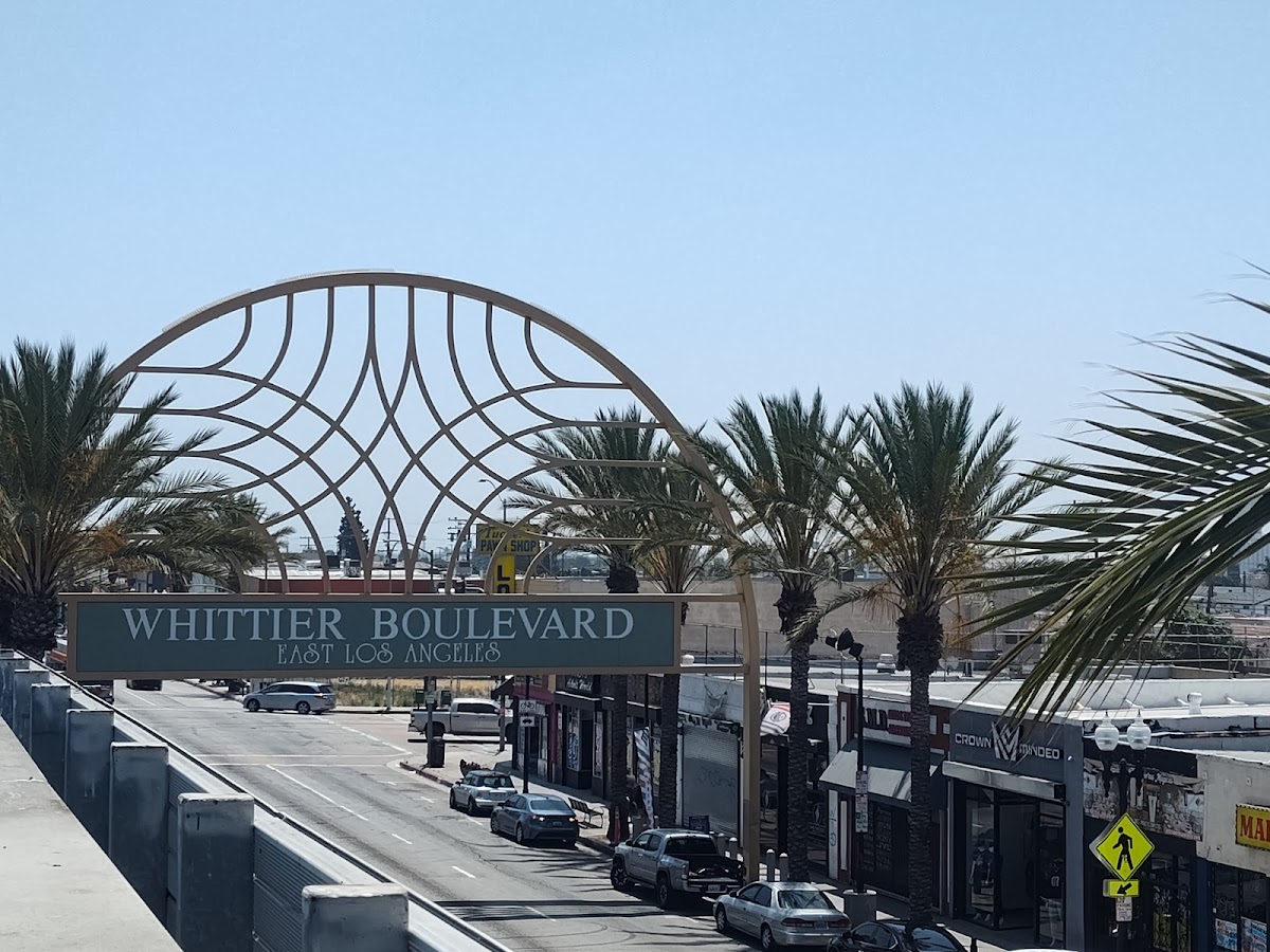 Women's Services Enhancement Program (WESP)